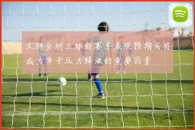 文胖分析三球新赛季表现预期或将成为华子压力释放的重要因素