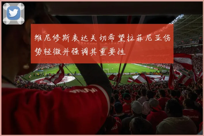 维尼修斯表达关切希望拉菲尼亚伤势轻微并强调其重要性